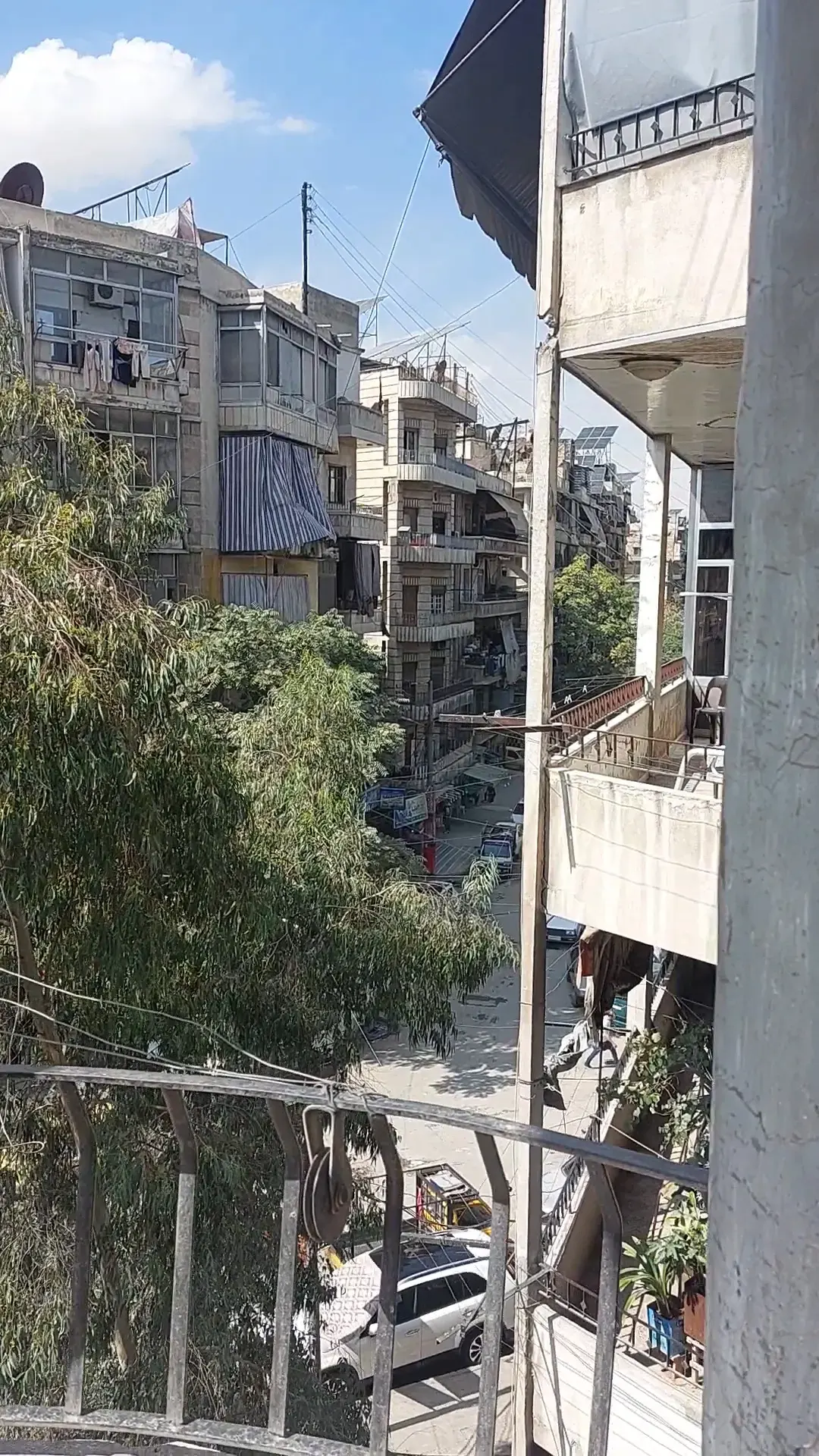 صورة العقار 16