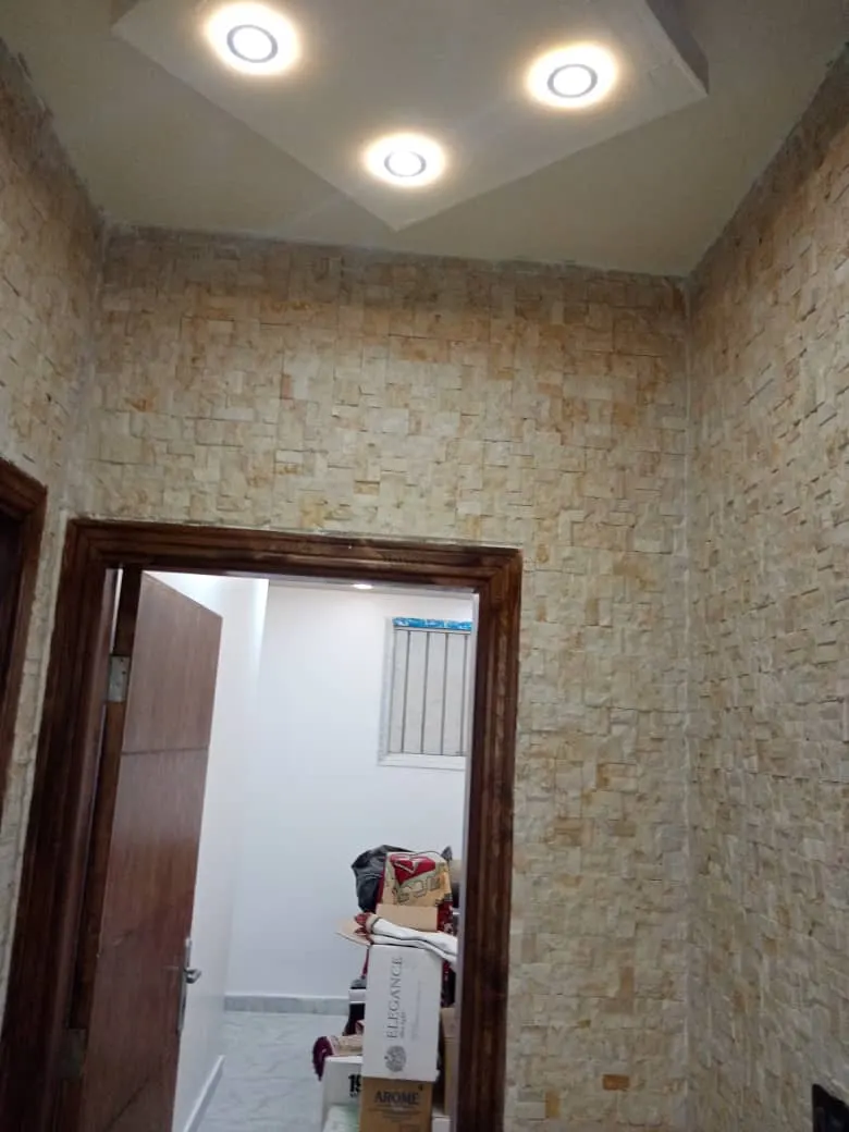 صورة العقار 8