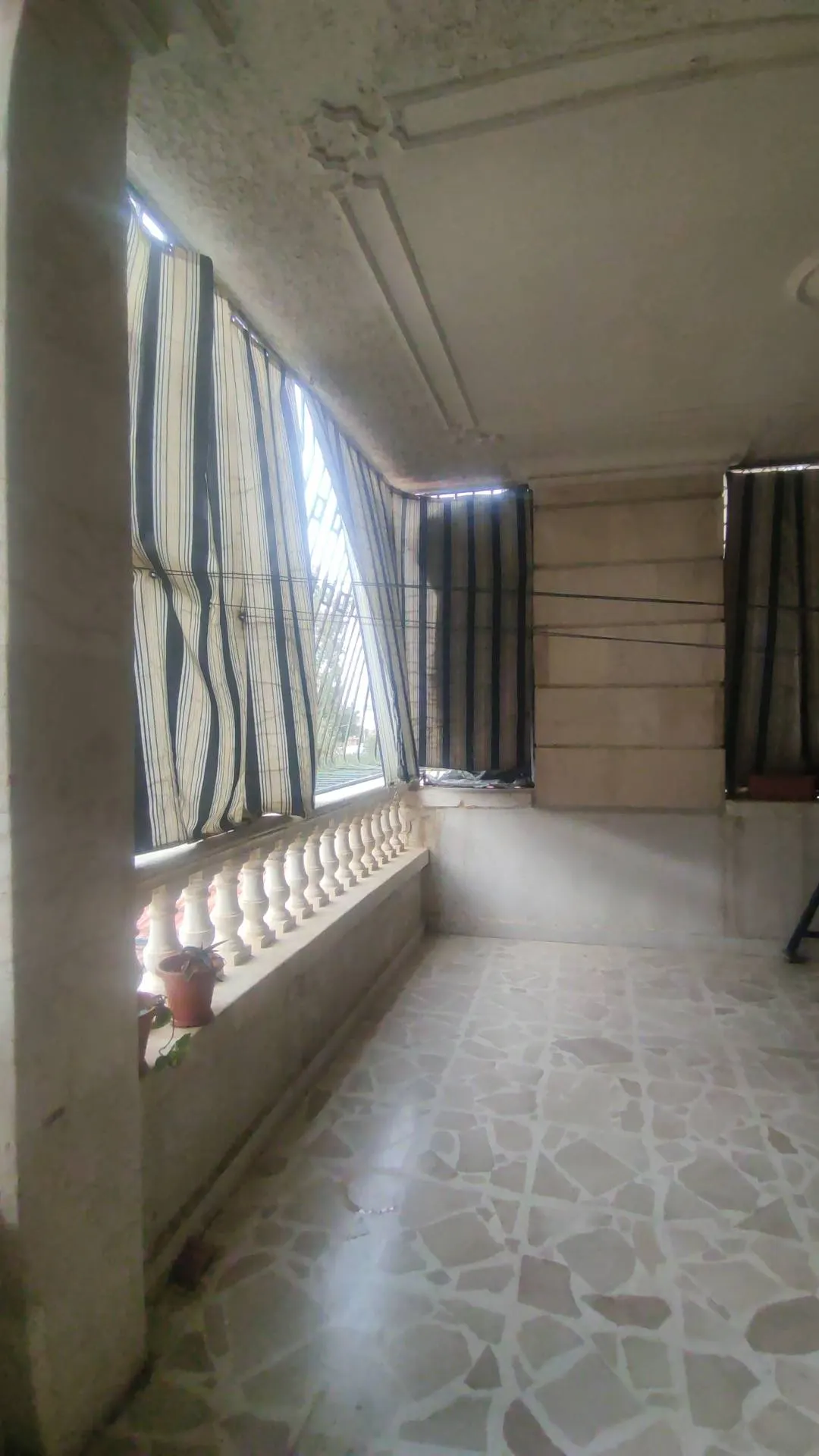 صورة العقار 6
