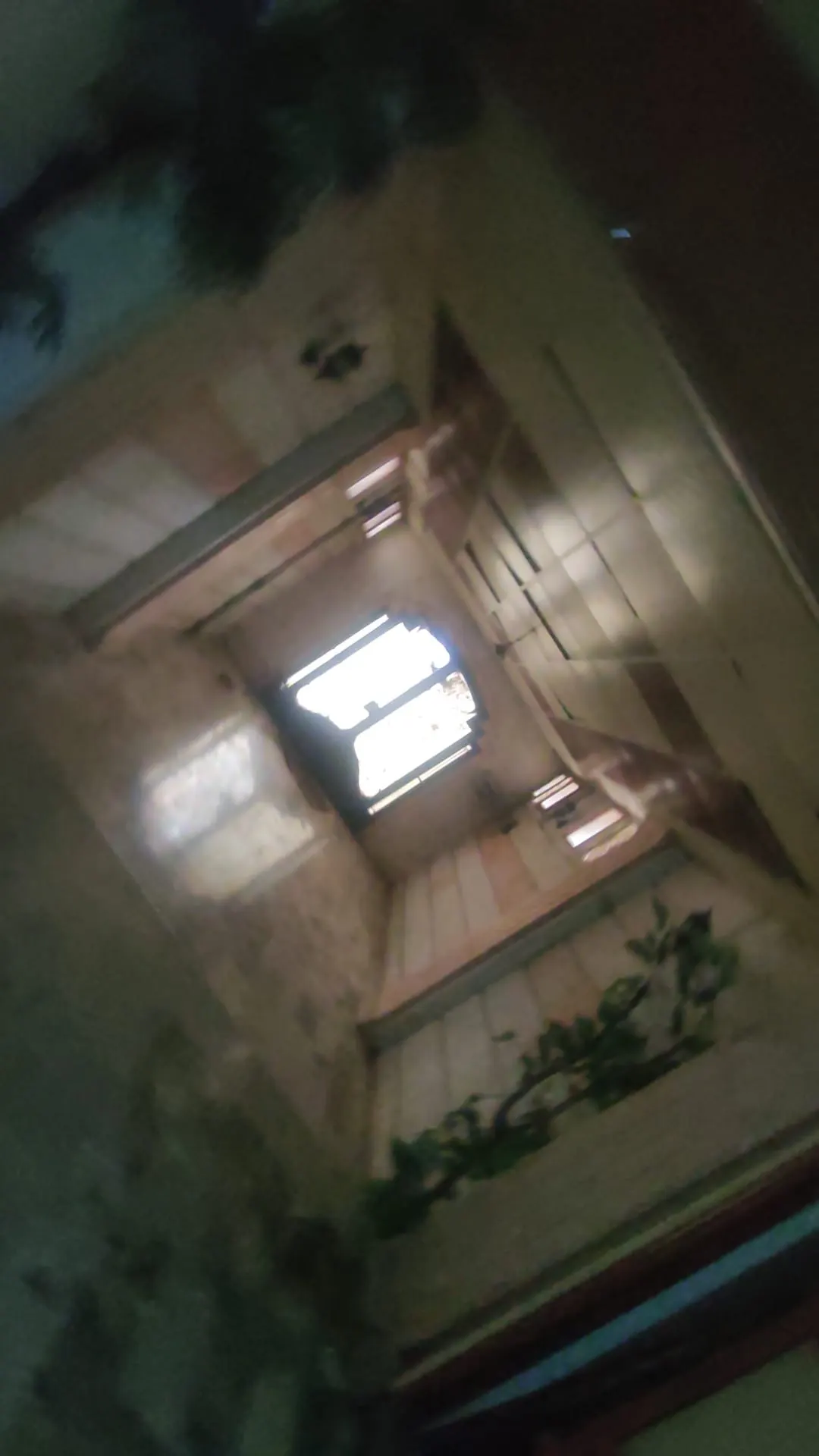 صورة العقار 2