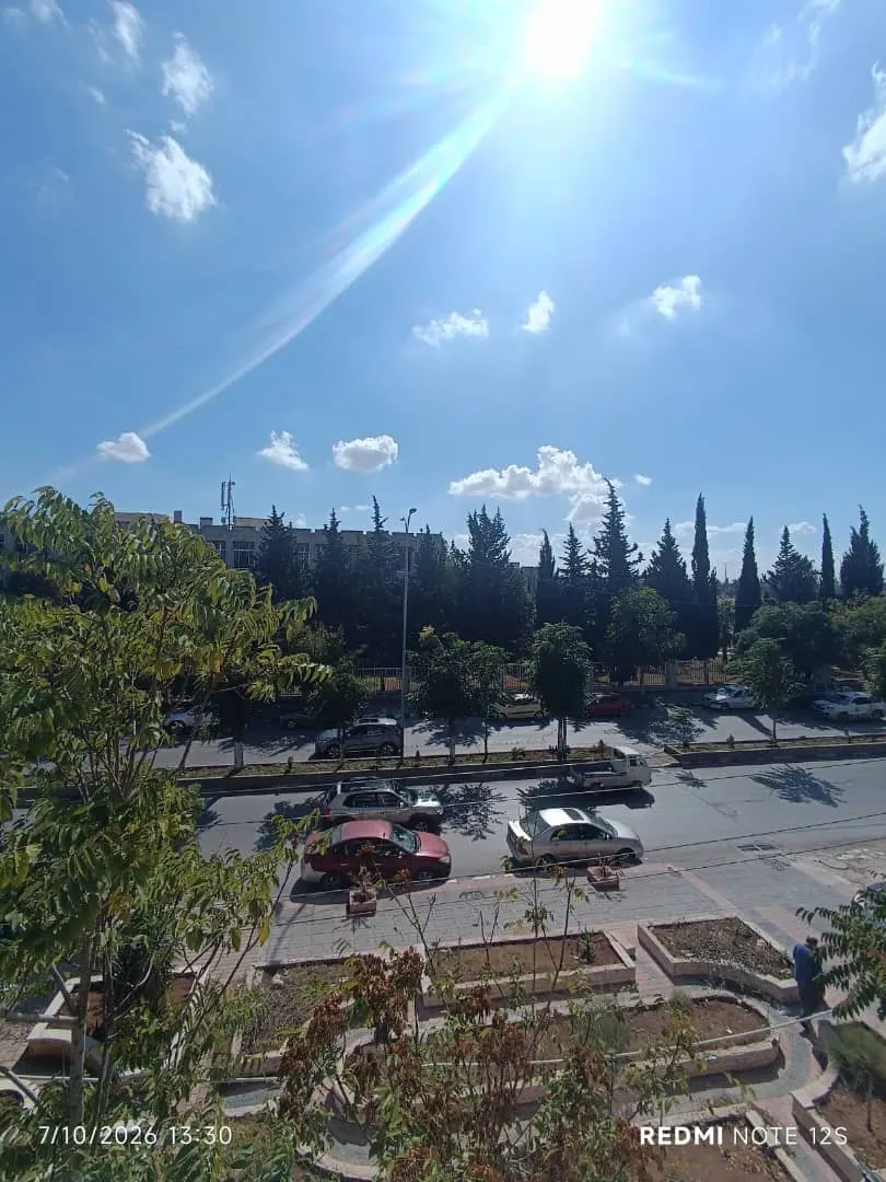 صورة العقار 4