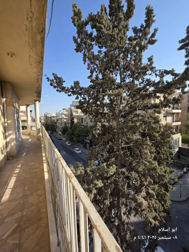 صورة العقار 9