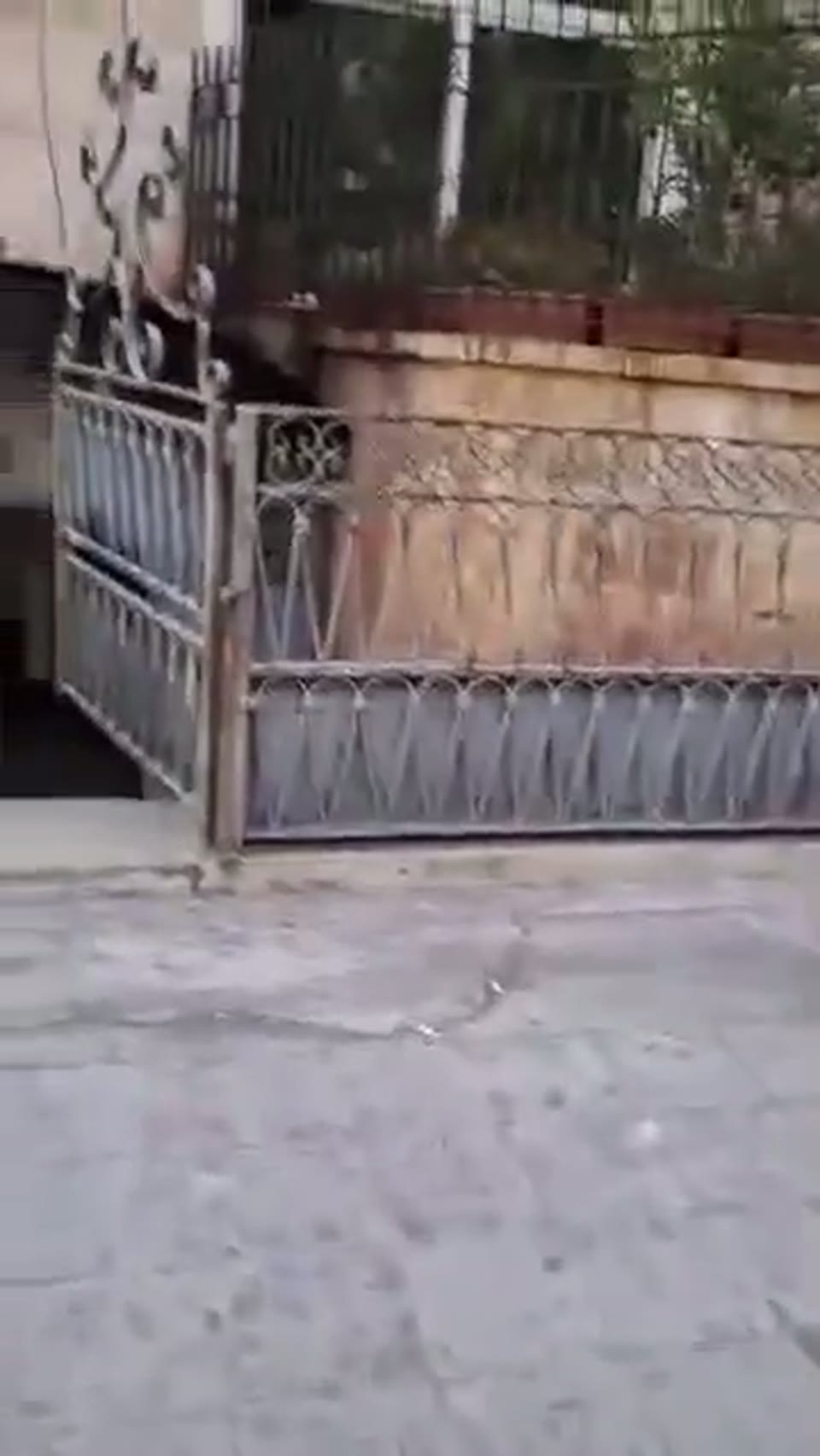 صورة مصغرة لفيديو صالة عرض للبيع