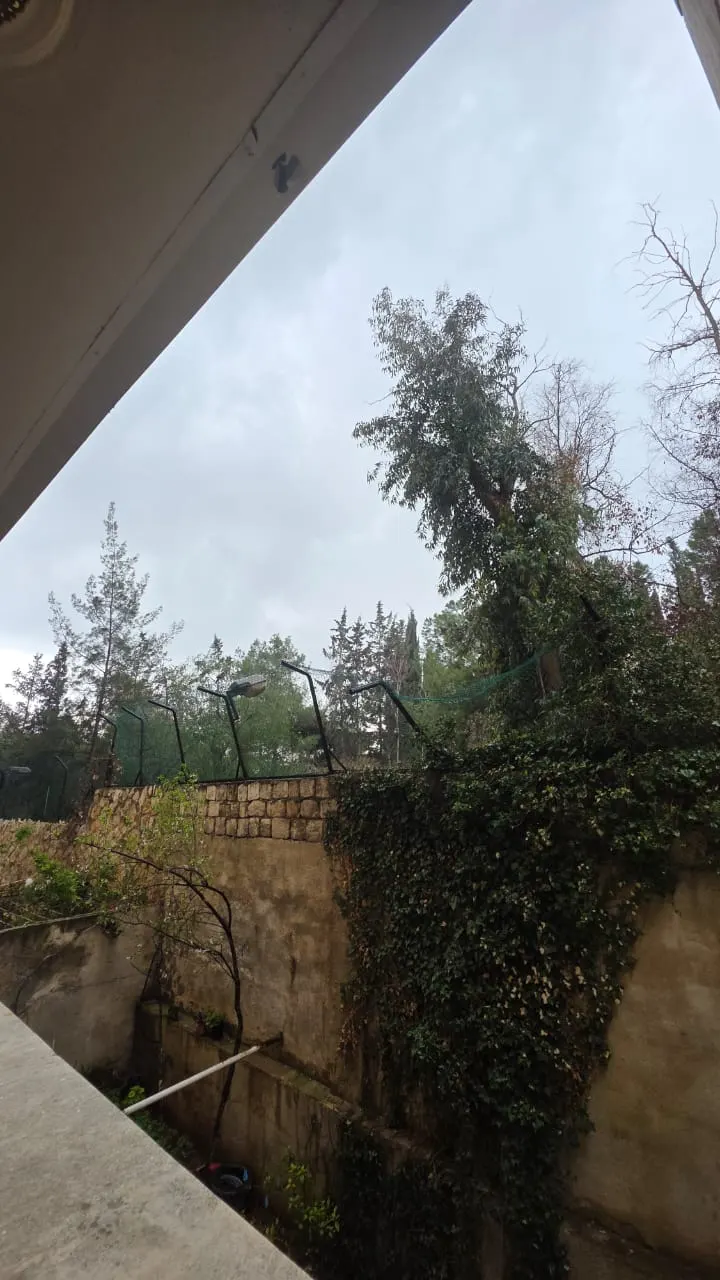 صورة العقار 3
