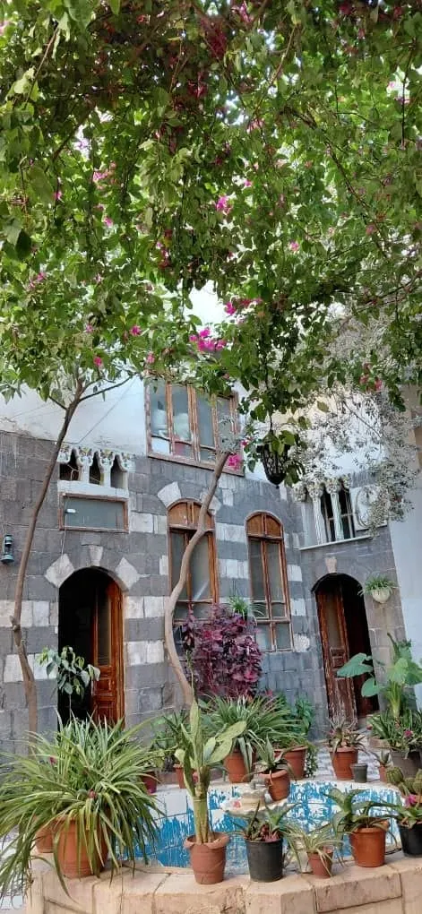 صورة العقار 6