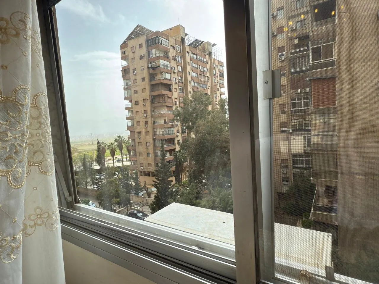 صورة العقار 11