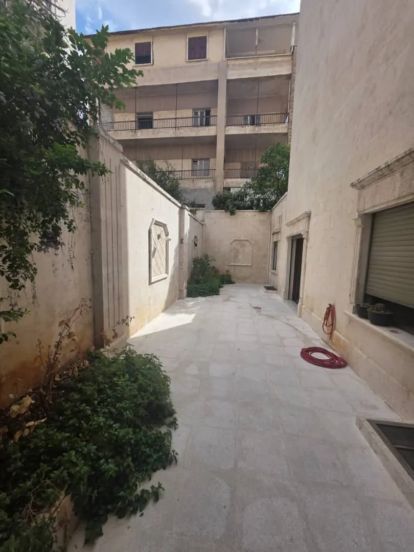 صورة العقار 12