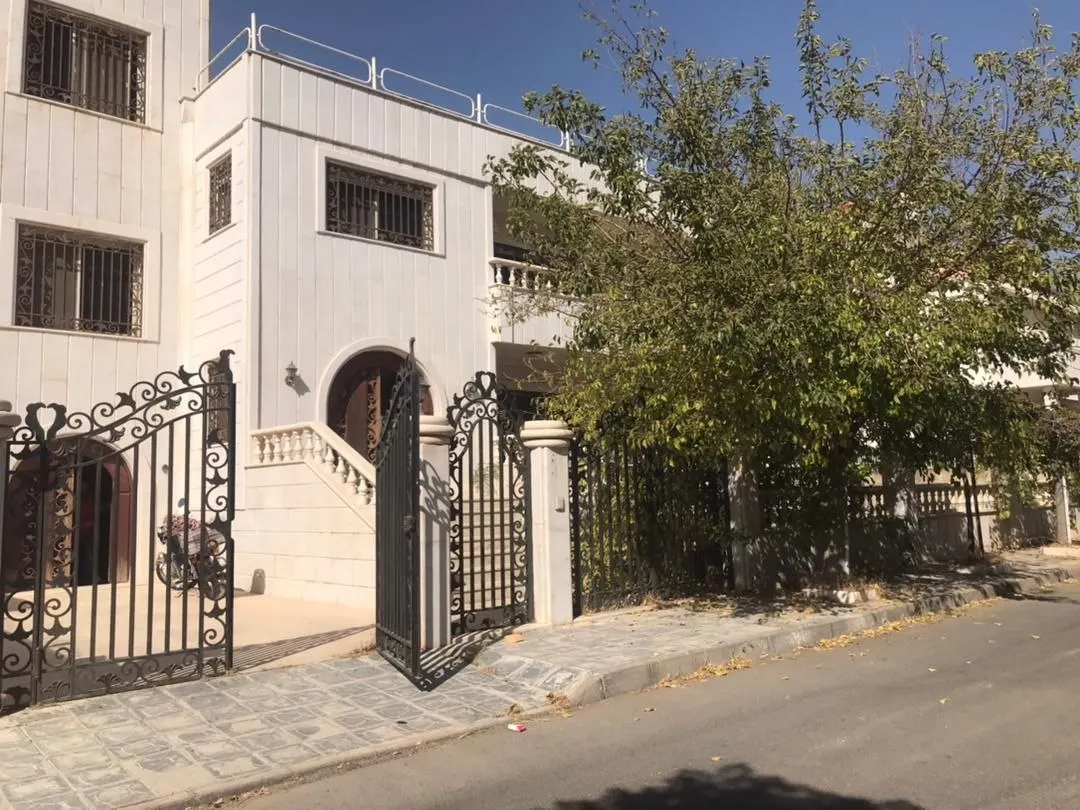 صورة العقار 4