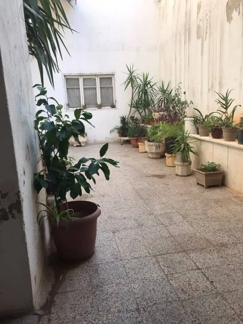 صورة العقار 10