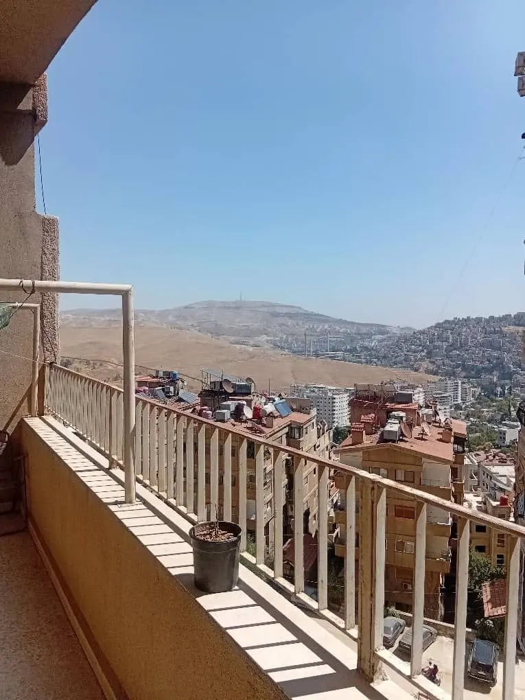 صورة العقار 4