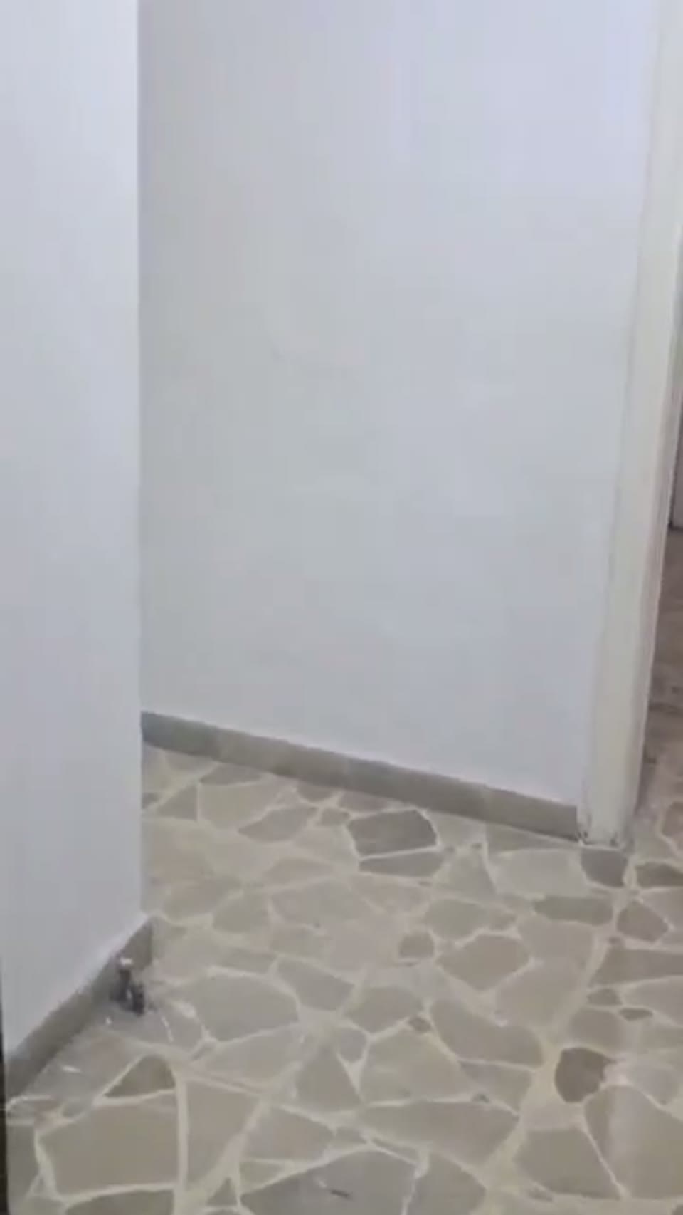 صورة مصغرة لفيديو منزل للإيجار في شارع النيل — 4 غرف