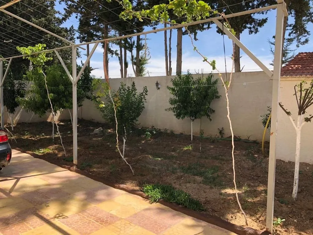 صورة العقار 11