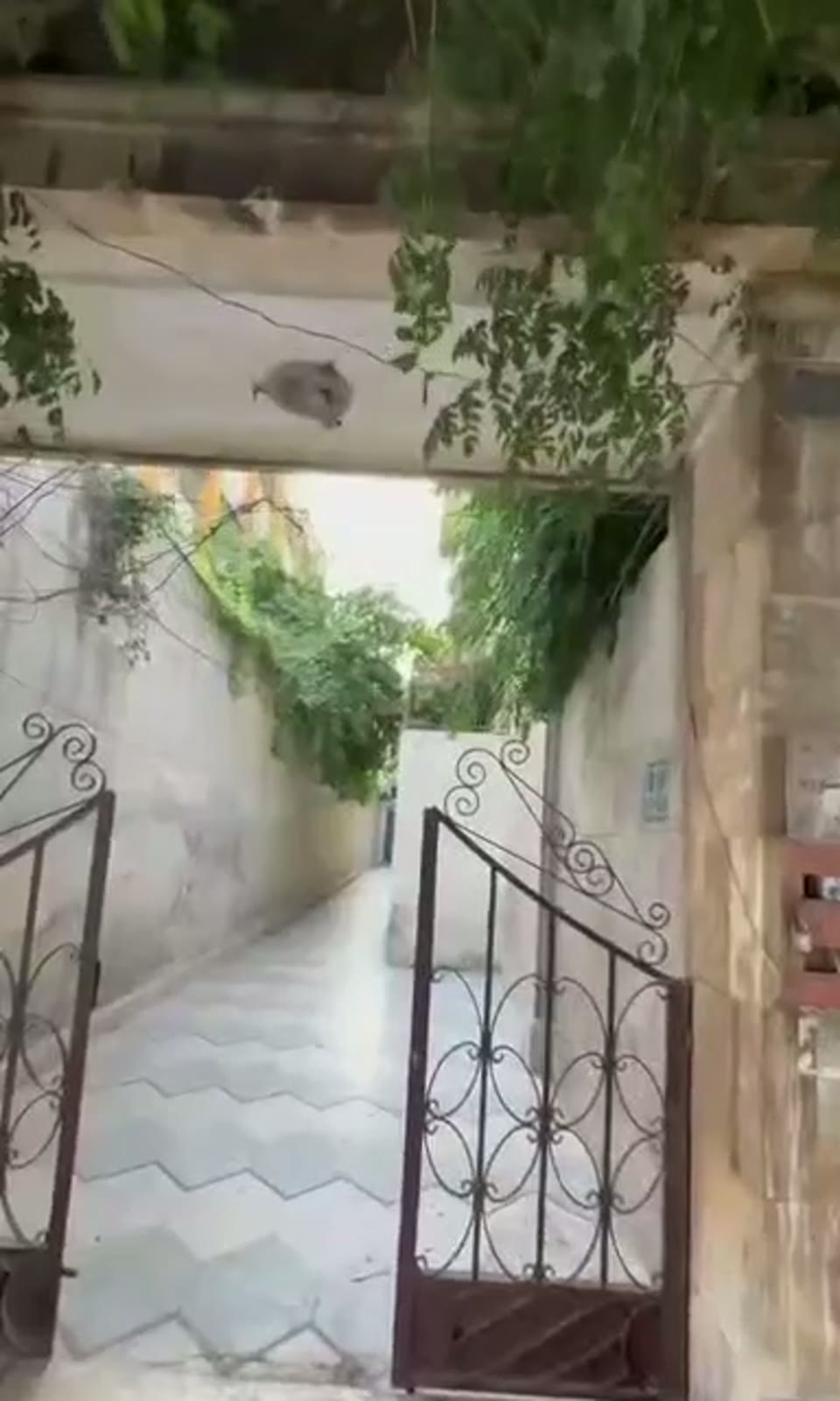 صورة مصغرة لفيديو منزل للبيع في سيف الدولة — 4 غرف