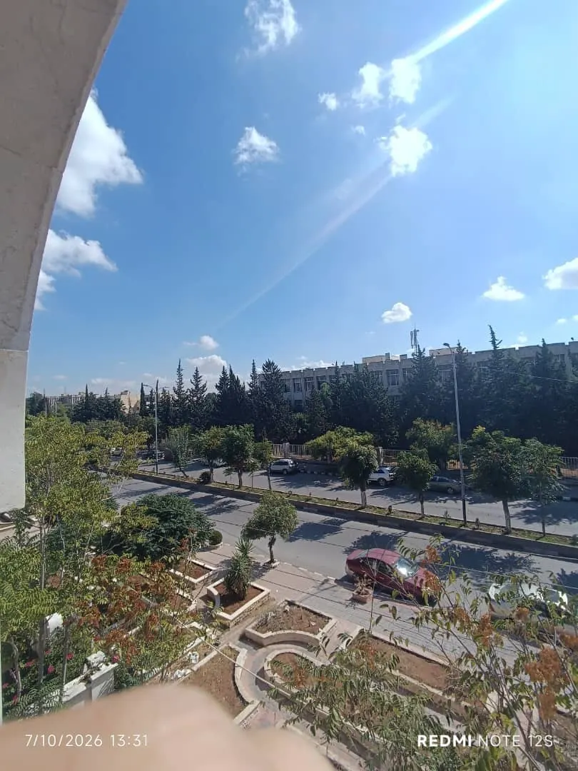 صورة العقار 3