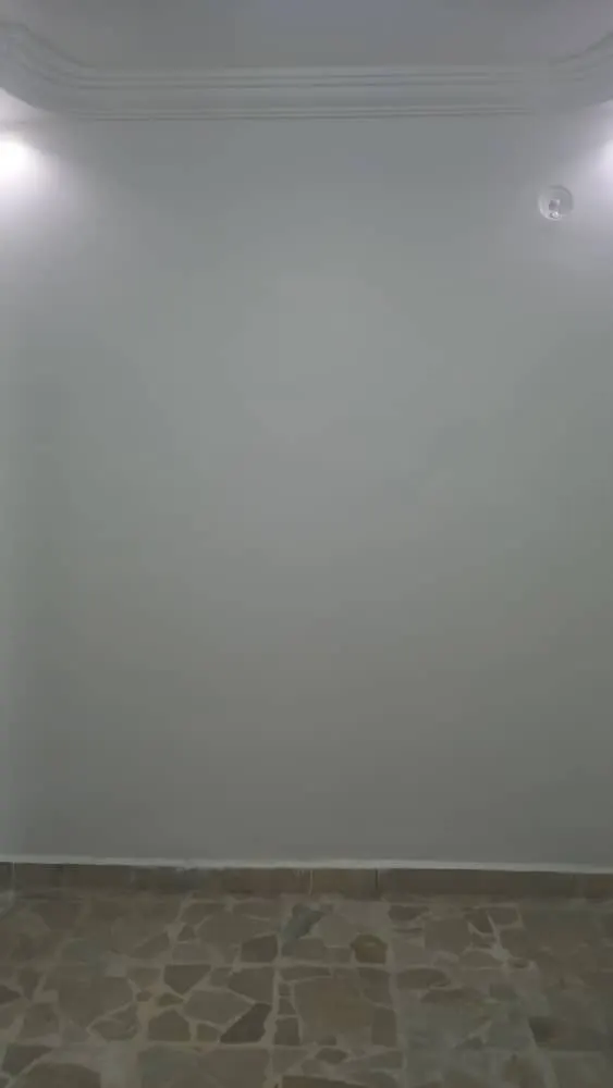 صورة العقار 12