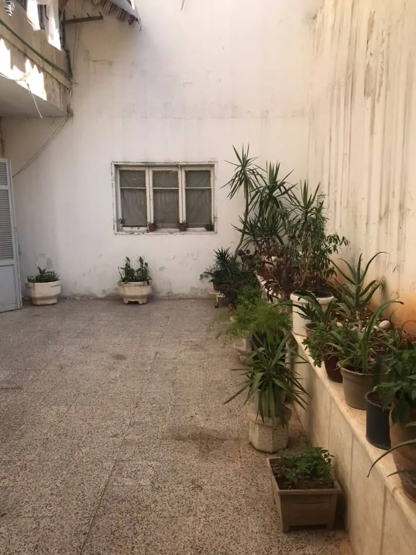 صورة العقار 5