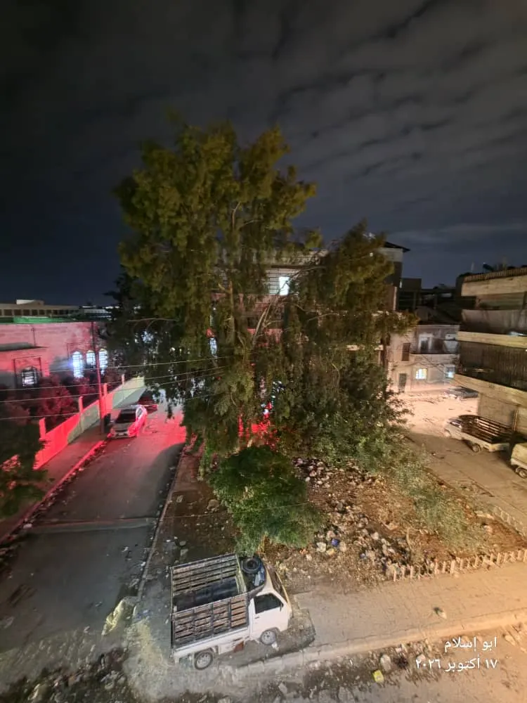 صورة العقار 3