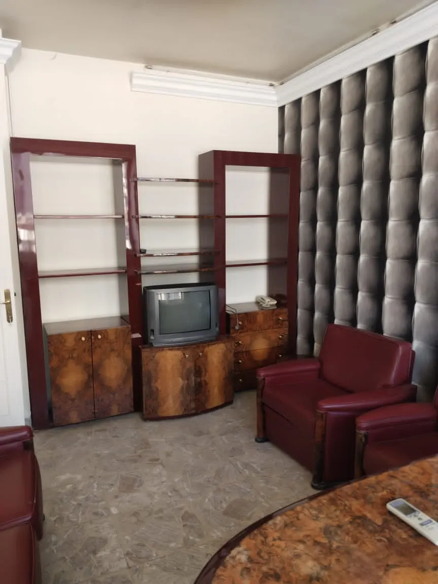 صورة العقار 4