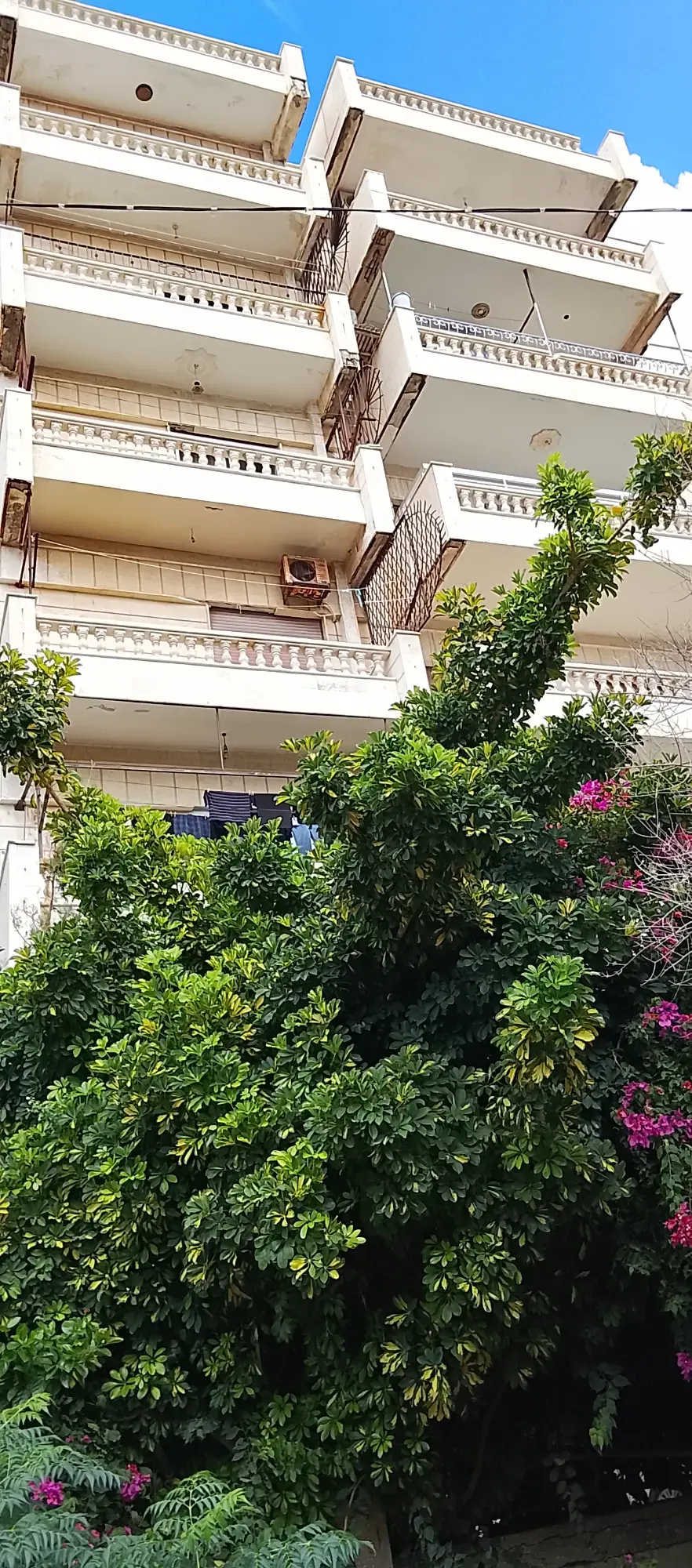 صورة العقار 3
