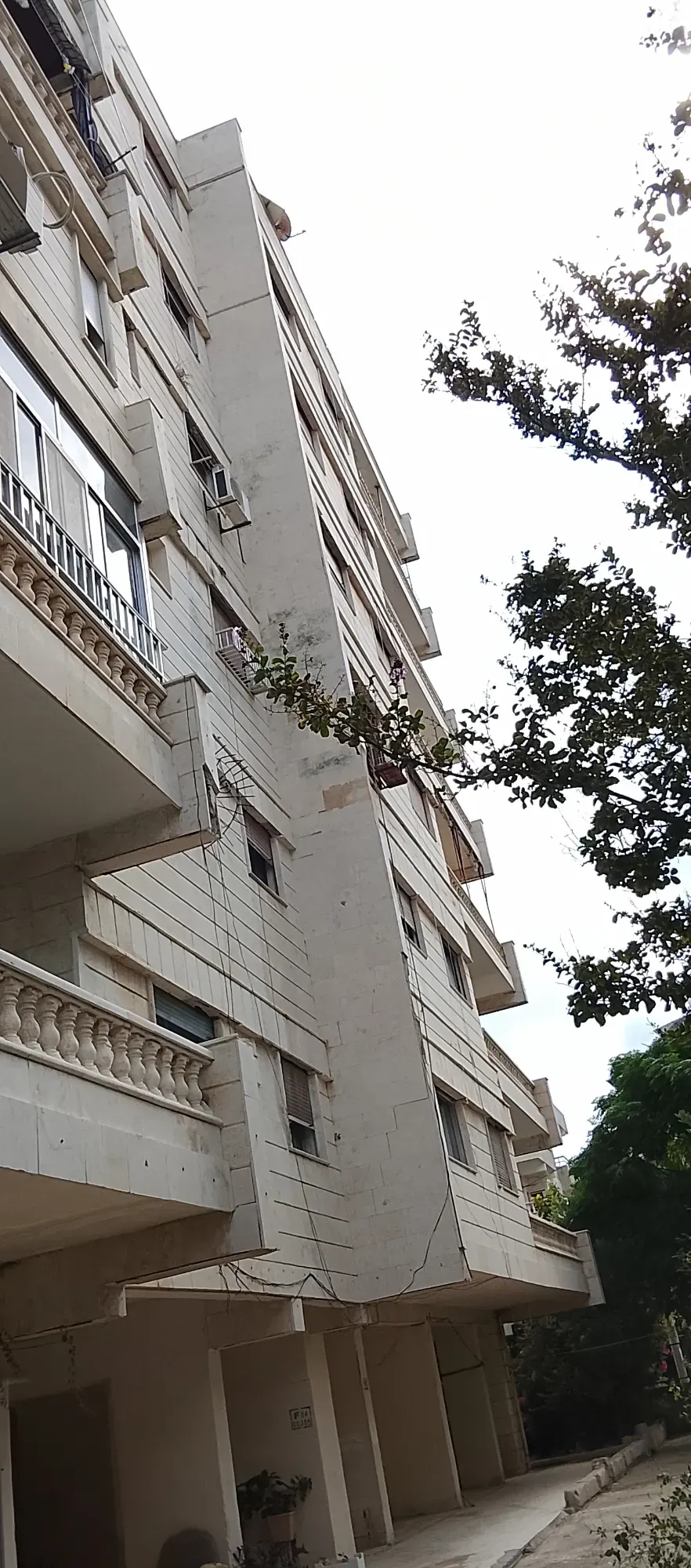 صورة العقار 4