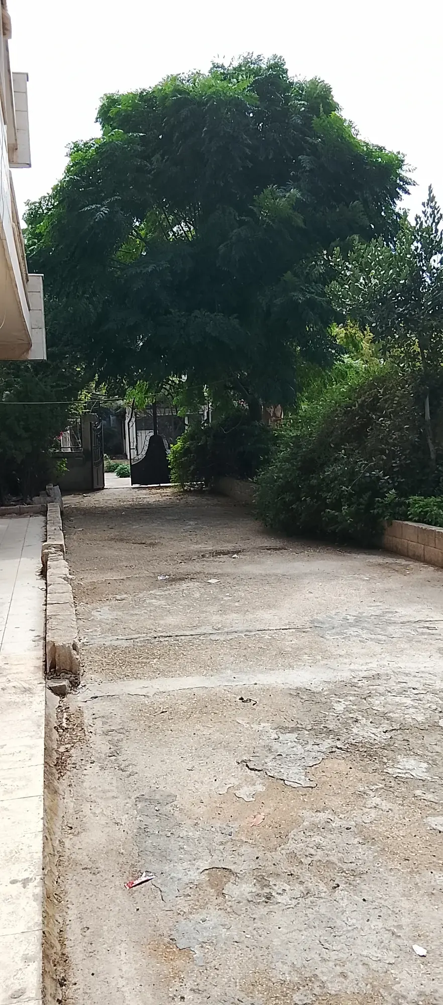 صورة العقار 5