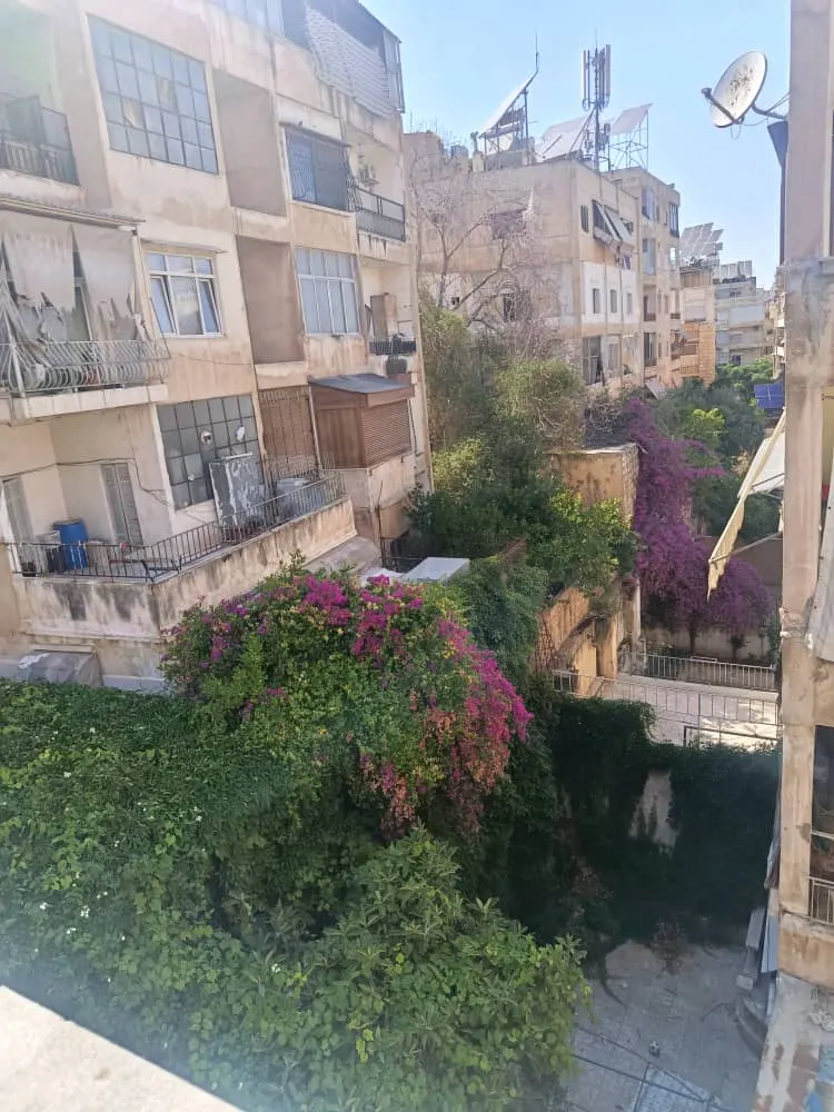 صورة العقار 3