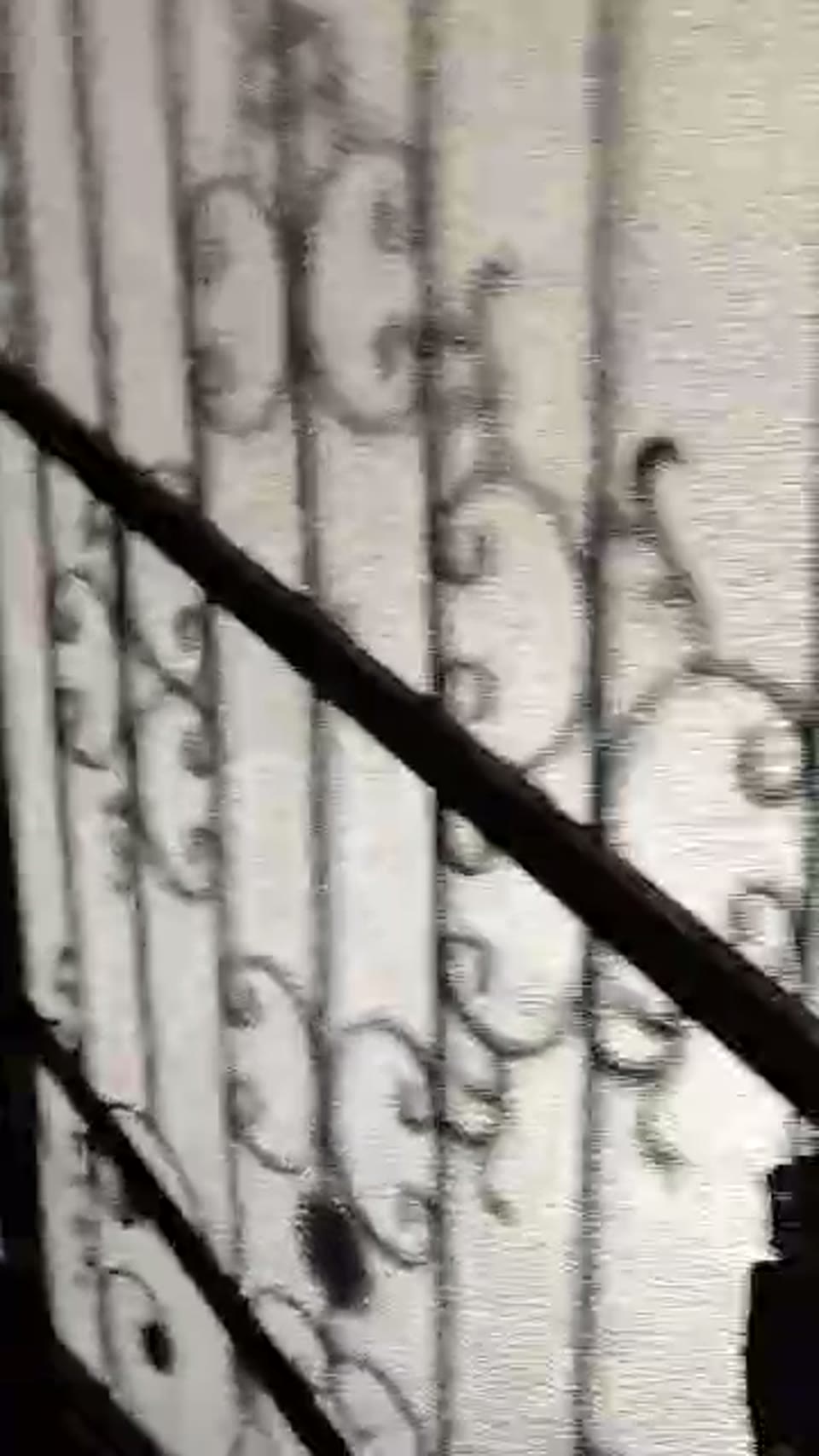 صورة مصغرة لفيديو للبيع خمس غرف محررات في سيف الدولة