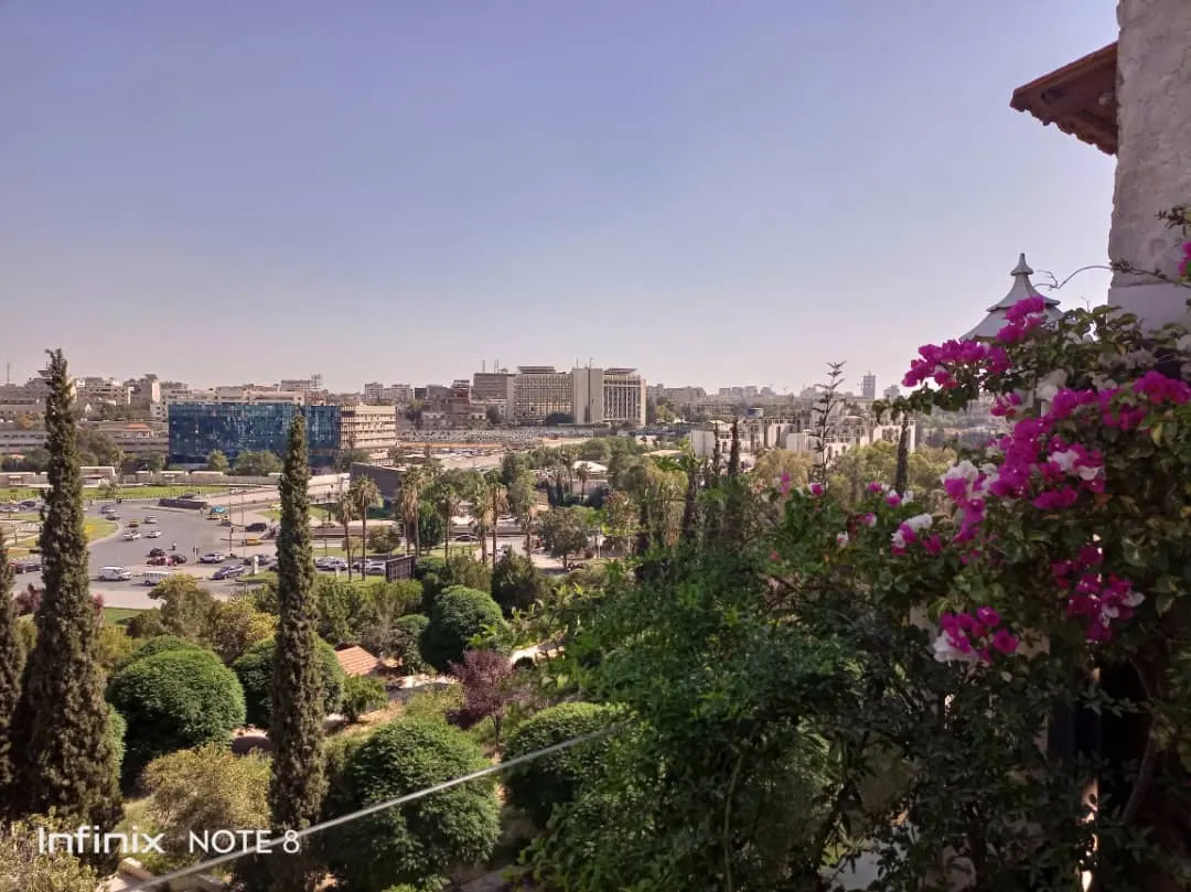 صورة العقار 3