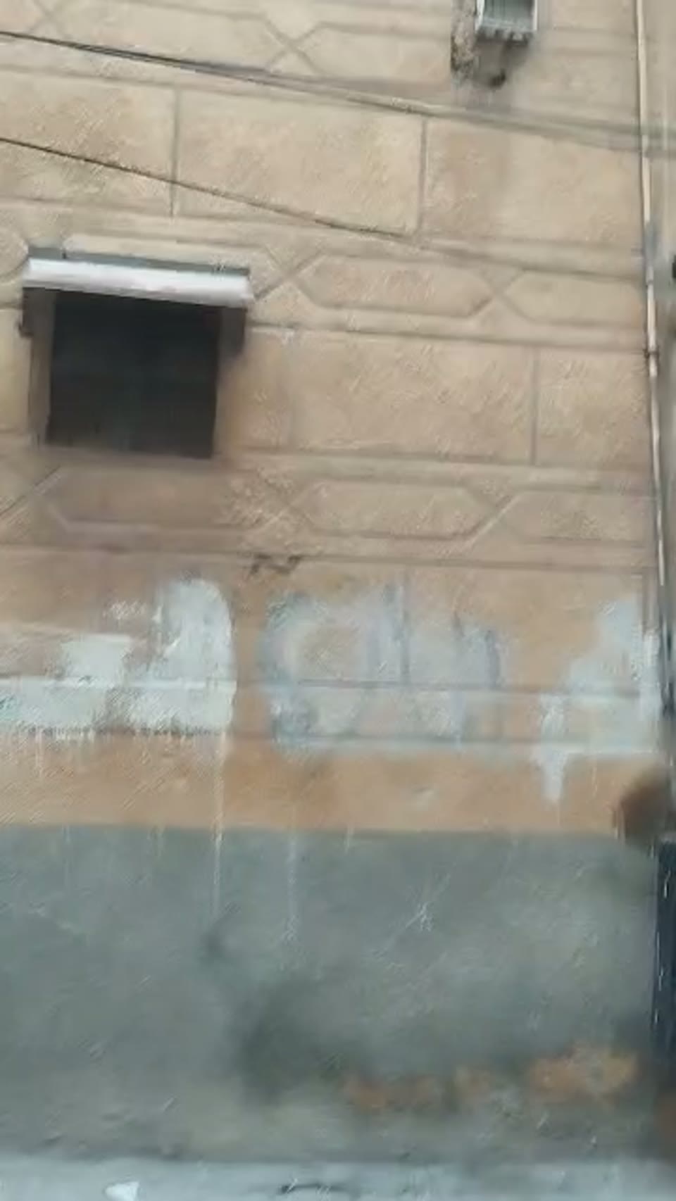 صورة مصغرة لفيديو حوش عربي للبيع في باب الحديد
