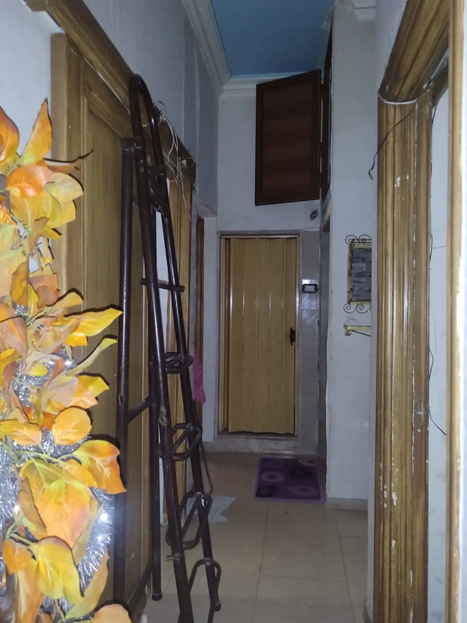 صورة العقار 3