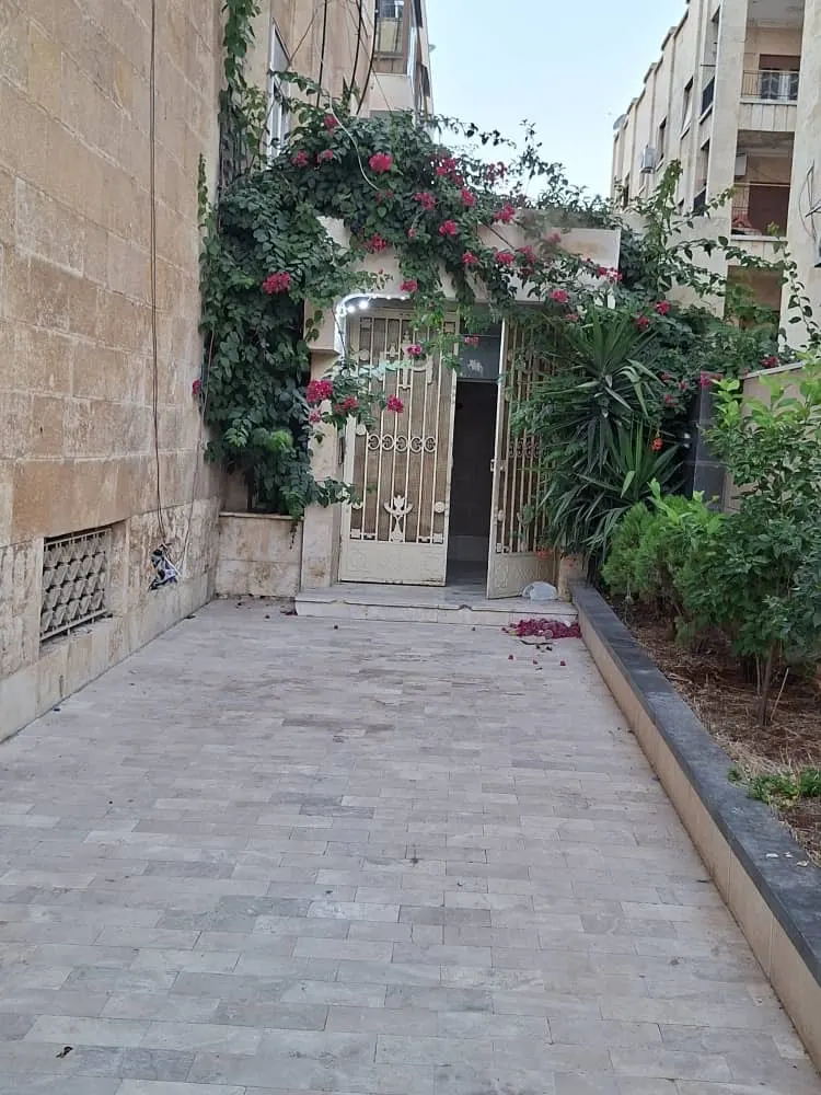 صورة العقار 6